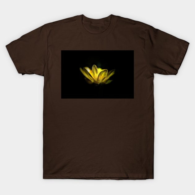 Buttercup T-Shirt by Nigdaw